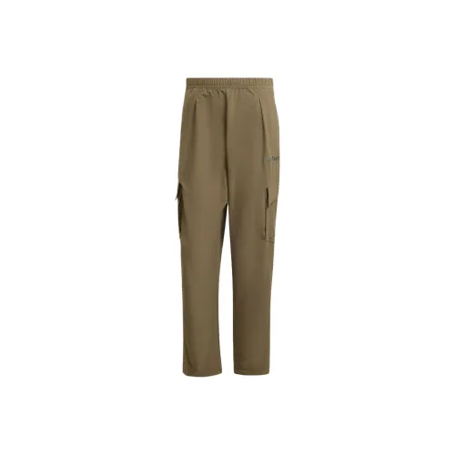 Adidas TerrexXPLORIC Карго Брюки Мужские Оливковые