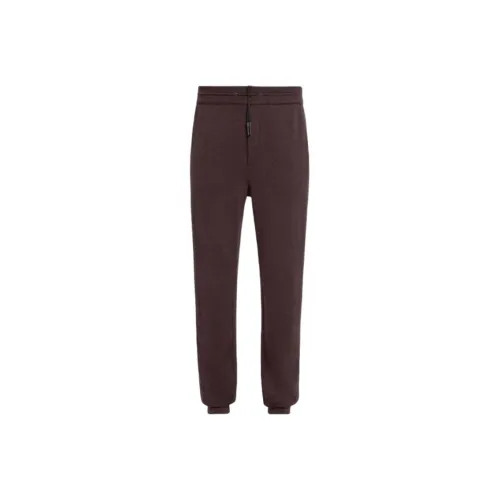 Ermenegildo Zegna Мужские Повседневные Брюки Красно-коричневого цвета
