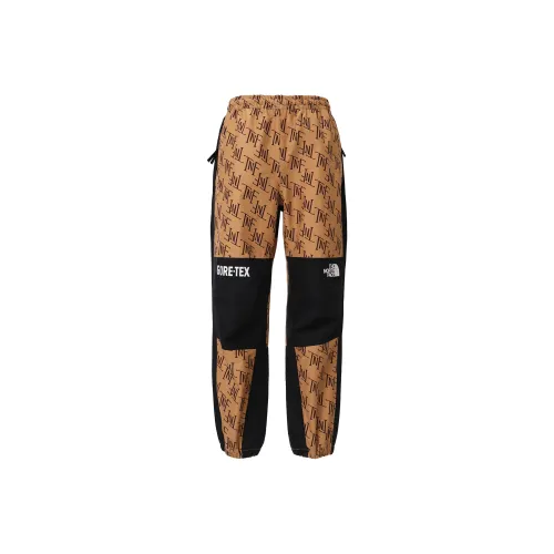 THE NORTH FACE Повседневные брюки Мужские