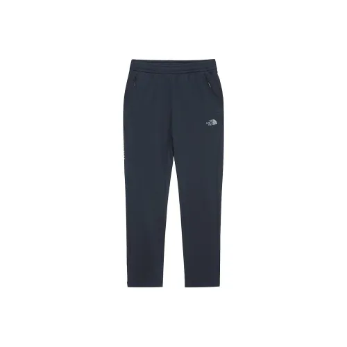 The North Face THE NORTH FACE Apparel Collection Повседневные брюки Мужские Темно-серый