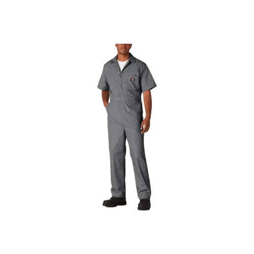 Dickies Серый Мужской Комбинезон