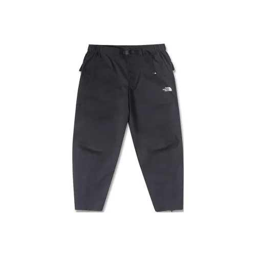 The North Face Черные Мужские Повседневные Штаны