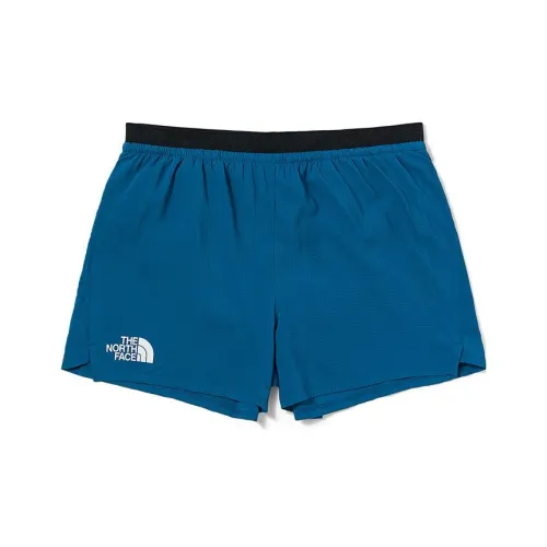 The North Face Повседневные шорты Мужские