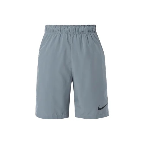 nike Dri Fit Повседневные шорты Мужские Серые