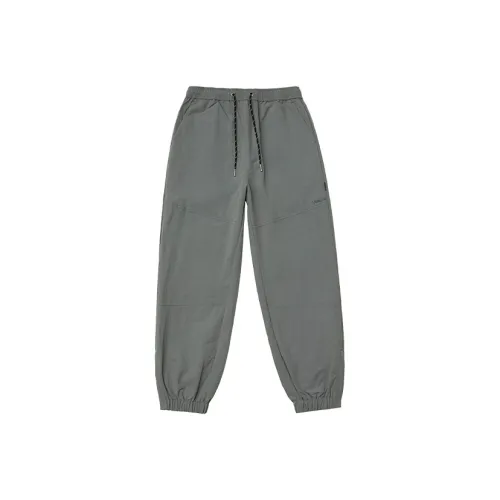 DC Shoes Мужские Повседневные Штаны