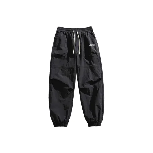 JEEP Унисекс Повседневные брюки