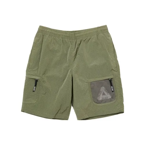 Дворцовый зеленый Мужские Повседневные шорты