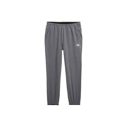 THE NORTH FACE Мужские Joggers 2,0 для прогулок повседневные штаны мужской серый