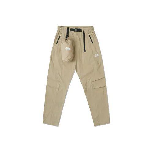 THE NORTH FACE Urban Exploration Spectra Повседневные брюки Мужской Коричневый