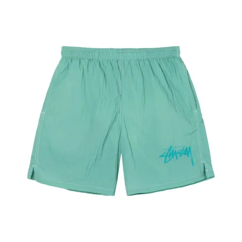 Stussy Озерно-голубые Мужские Повседневные Шорты