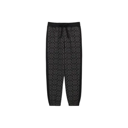 COACH SS24 Повседневные брюки Мужские Угольный серый