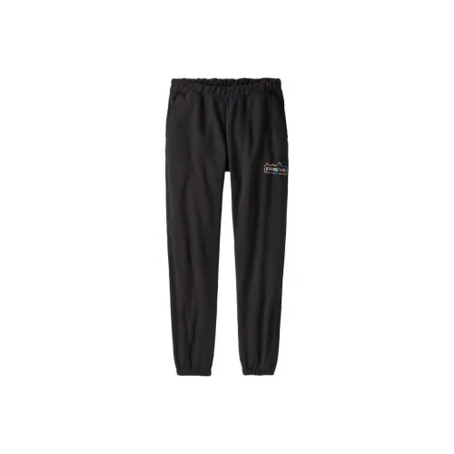 Patagonia Uprisal Повседневные брюки Мужские