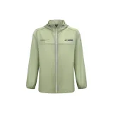 Трава зеленая