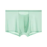 1 Pack [Light Green]  
1 Пачка [Светло-зеленый]