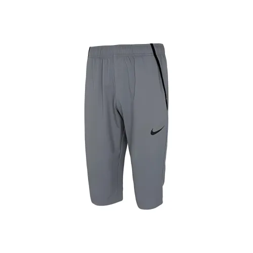 Nike Gray Men's Casual Shorts Nike Серый Мужские Повседневные Шорты