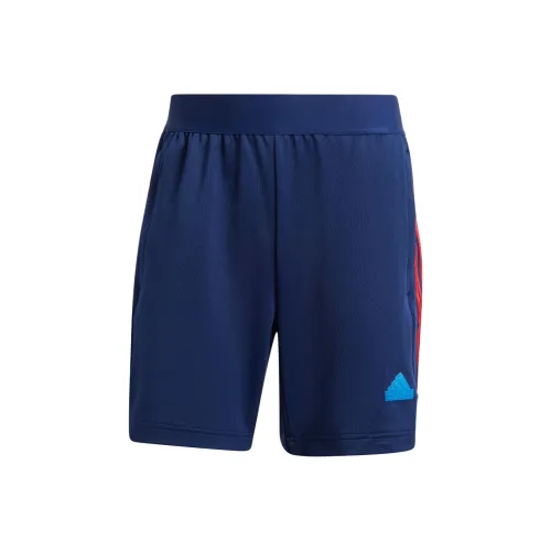Adidas House OF TIRO NATIONS PACK Шорты Повседневные шорты Мужские Морской синий