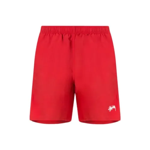 Stussy Мужские Повседневные Шорты