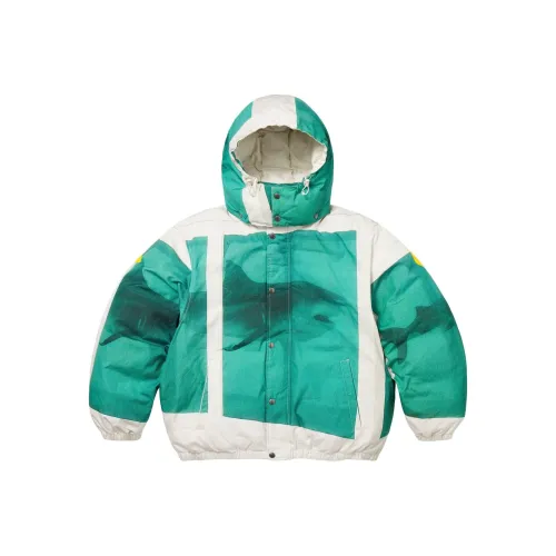 Supreme Damien Hirst Collaboration Пуховики и зимние пальто Унисекс