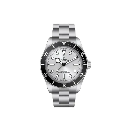 TUDOR BLACK BAY Collection Автоматический Механический Механизм Мужские Часы Часы 43 мм Серебристый Циферблат