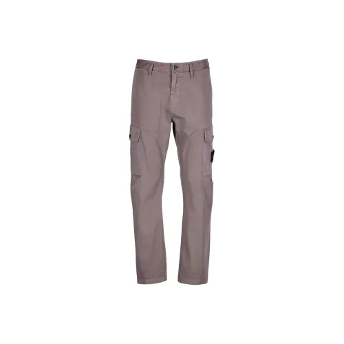 Stone Island Серый Коричневый Мужские Повседневные Брюки