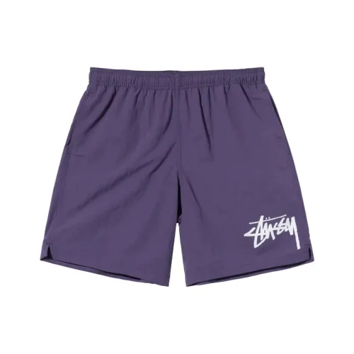 Stussy Мужские Повседневные Шорты
