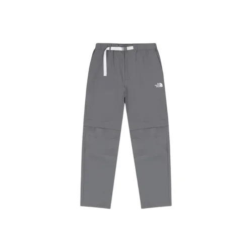 THE NORTH FACE x Naohiro Fujisaki SS25 Повседневные штаны Унисекс Синий Серый