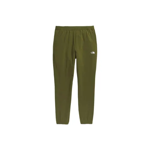 THE NORTH FACE Повседневные брюки Мужские Армейский зеленый