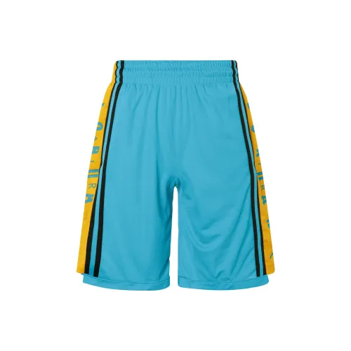 Джордан Баскетбольные шорты Мужские Синие