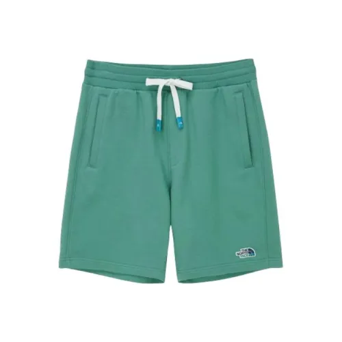 The North Face Повседневные шорты Унисекс Зеленый