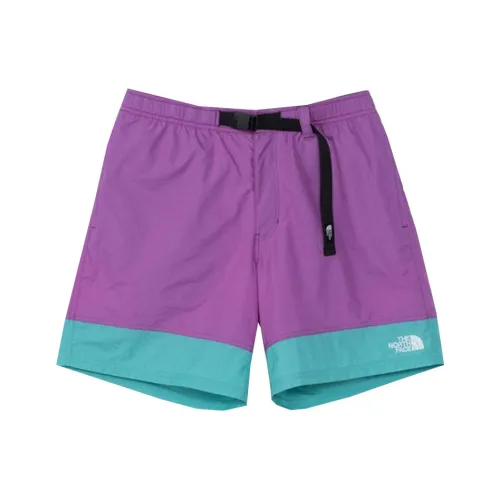 The North Face Повседневные шорты Мужские Фиолетовые
