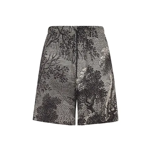 DRIES VAN NOTEN Серые Мужские Повседневные Шорты