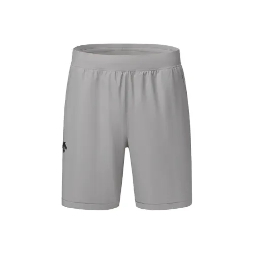 DESCENTE Тренировка Повседневные Шорты Мужские