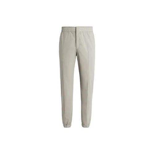 Ermenegildo Zegna Мужские Повседневные Брюки