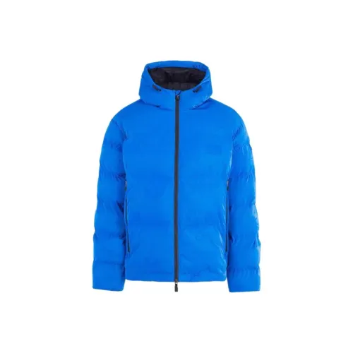 EMPORIO ARMANI EA7 FW24 Хлопковый пуховик Мужской Королевский синий