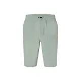 Шалфей Зеленый W226