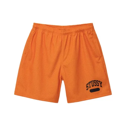 Stussy Мужские Повседневные Шорты