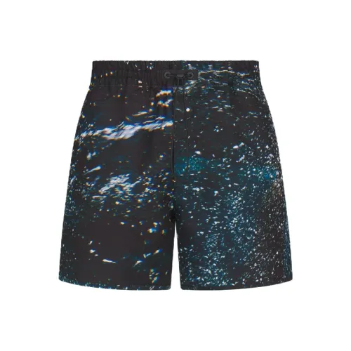 DIOR FW23 Пляжные шорты Мужские Синие