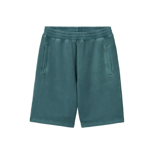 Carhartt WIP Повседневные шорты Мужские Растение Зеленый