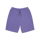 Светло-фиолетовый