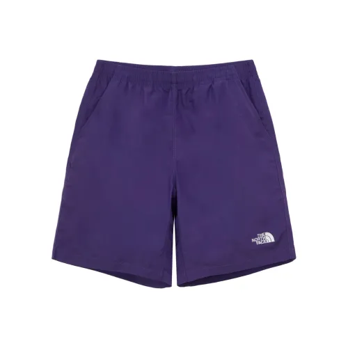 The North Face Sports Life Collection Повседневные шорты Мужские Фиолетовые