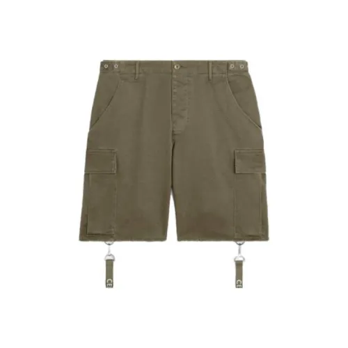 Celine Зеленые Мужские Повседневные Шорты