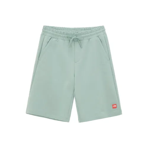 The North Face Зеленые Мужские Повседневные Шорты