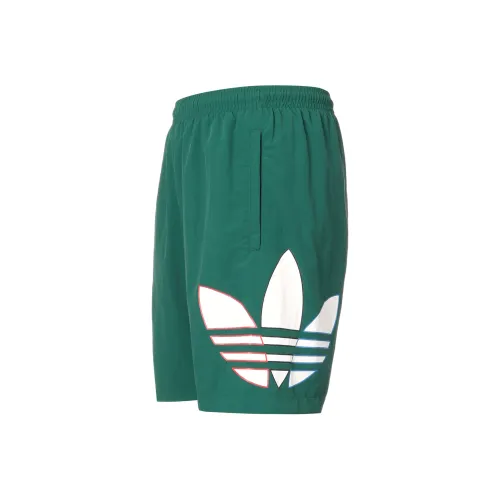 Adidas Originals Зеленые Мужские Спортивные Шорты