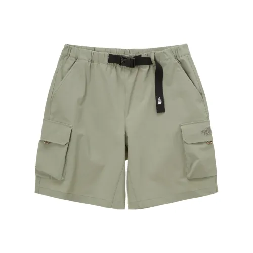 The North Face Повседневные шорты Мужские