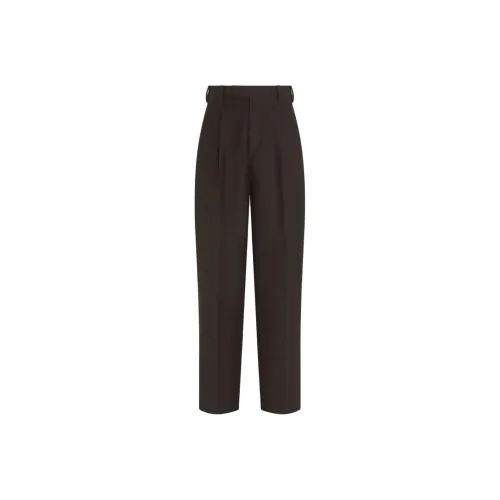 Ermenegildo Zegna Темно-коричневые Мужские Повседневные Штаны