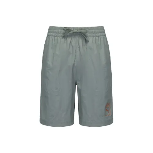 PUMA ESSMetallic Повседневные шорты Мужские Зеленые