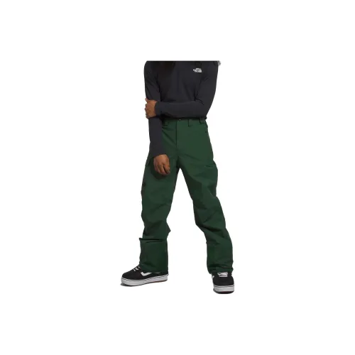 THE NORTH FACE Сосновый зеленый цвет Мужские Повседневные Штаны