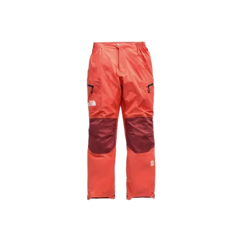 The North Face Лыжные штаны Унисекс