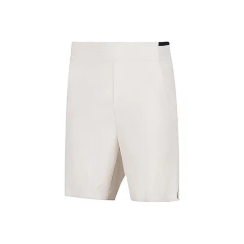 SALOMON WAYFARER EASE Повседневные шорты Унисекс Earth Серый