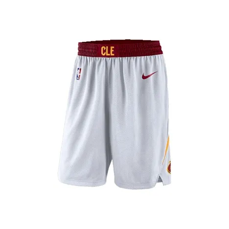 Nike Мужские баскетбольные шорты